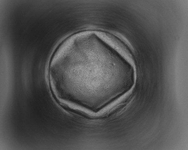 X0000100951247200807151330