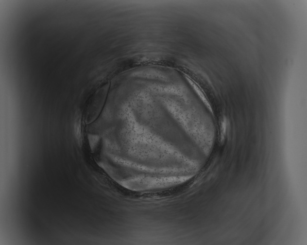 X0000100951250200807151329