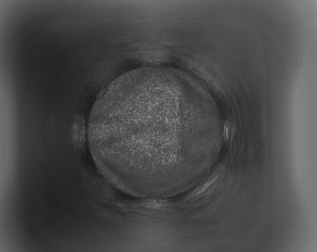 X0000100951251200807151329