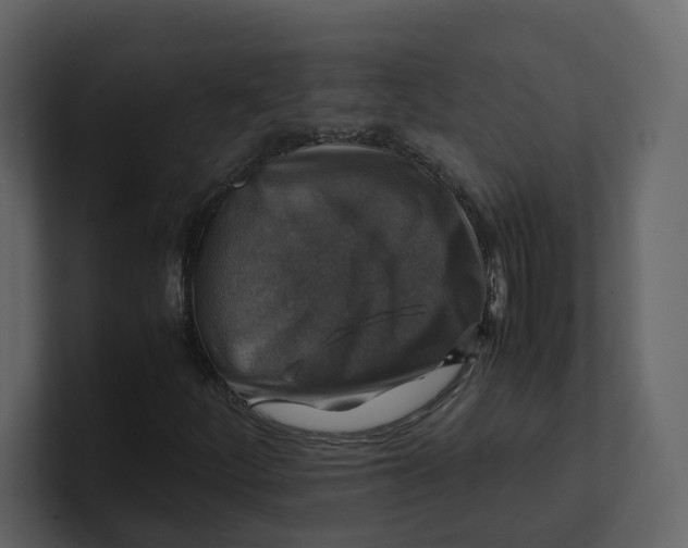 X0000100951252200807151329