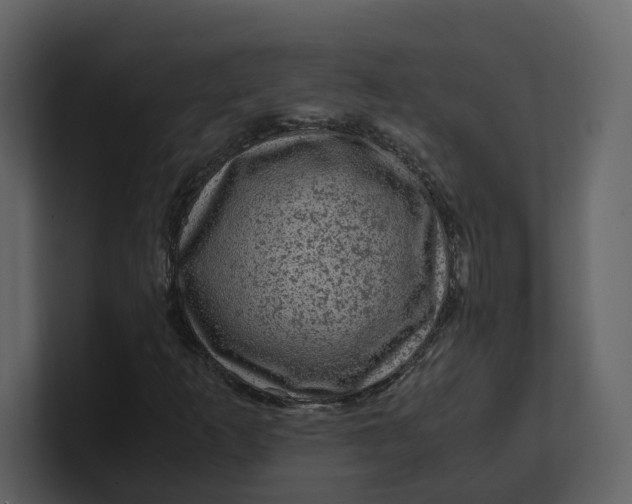 X0000100951253200807151329