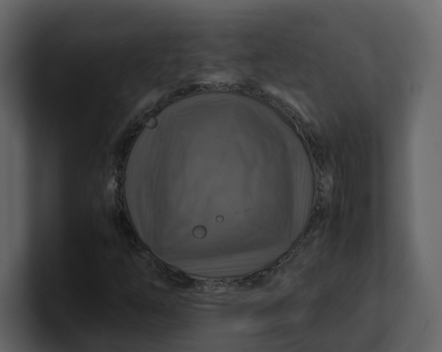 X0000100951254200807151329