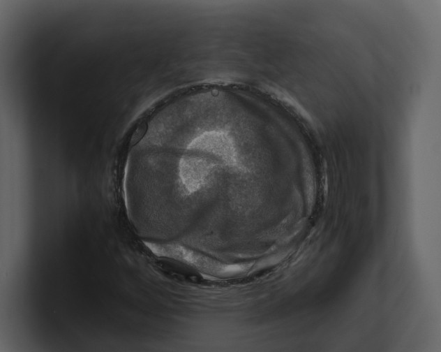 X0000100951256200807151329