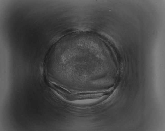 X0000100951257200807151329