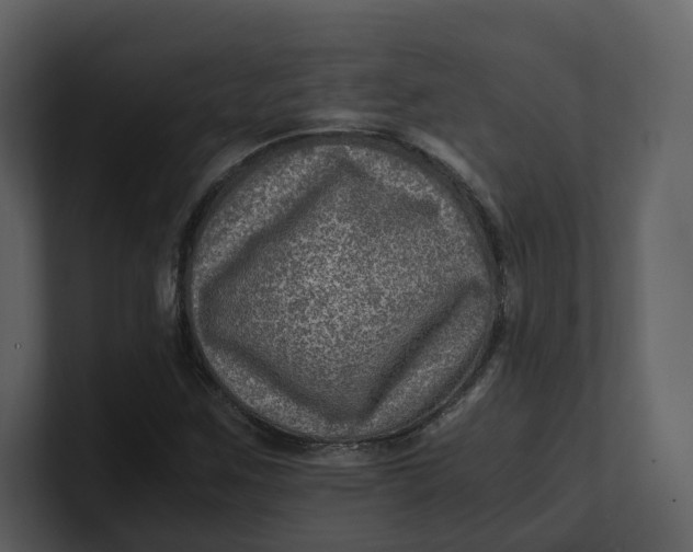 X0000100951259200807151329