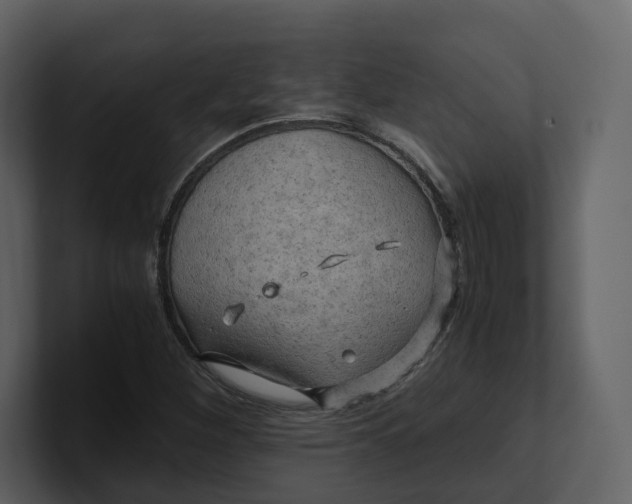 X0000100951260200807151329