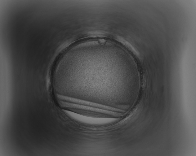 X0000100951261200807151329