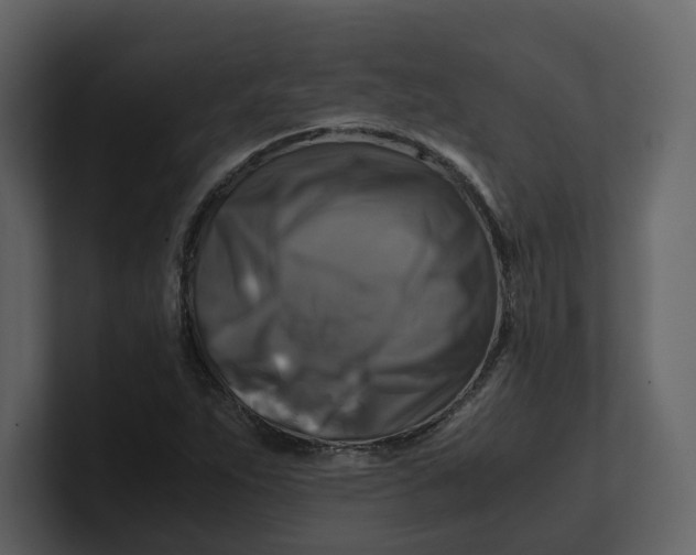 X0000100951263200807151329