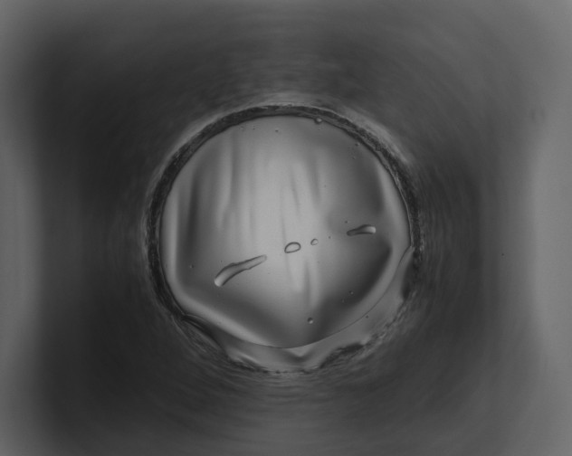 X0000100951264200807151329