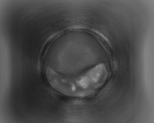 X0000100951266200807151329