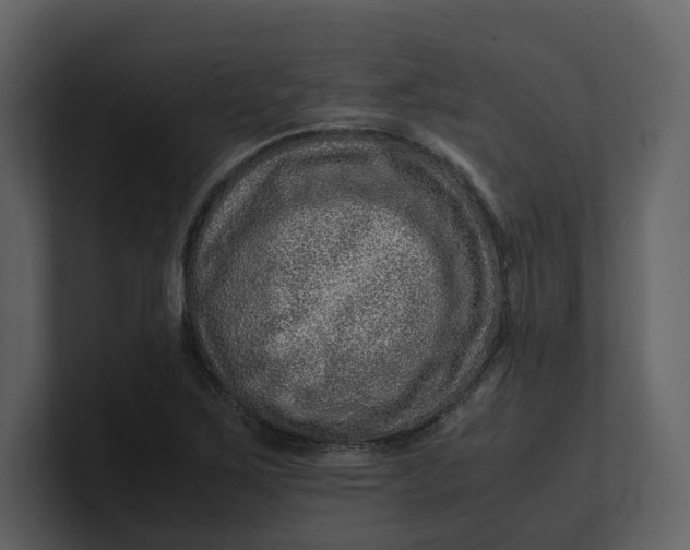 X0000100951267200807151329