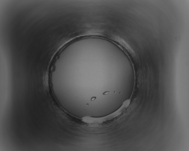 X0000100951268200807151329