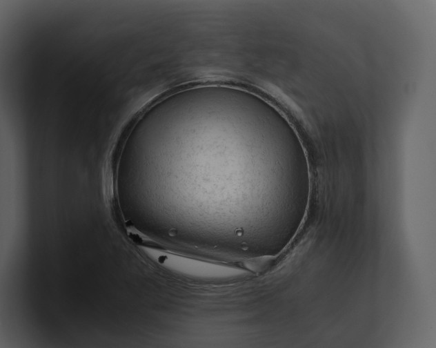 X0000100951269200807151329