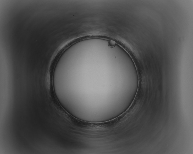 X0000100951270200807151329