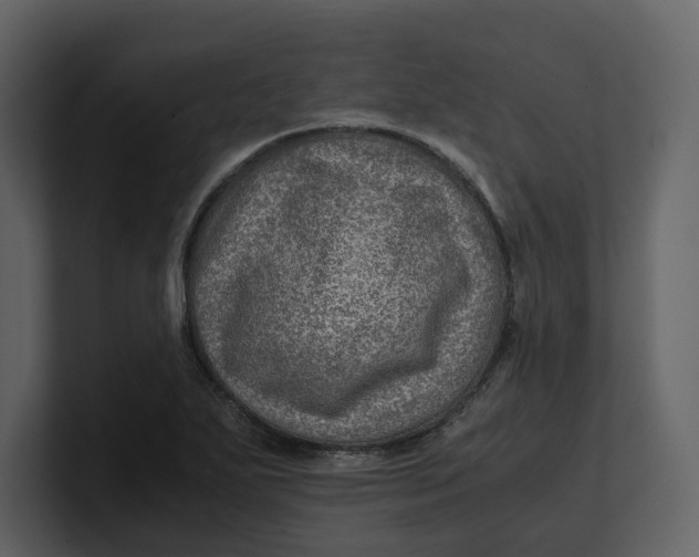 X0000100951271200807151329