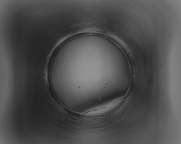 X0000100951272200807151329