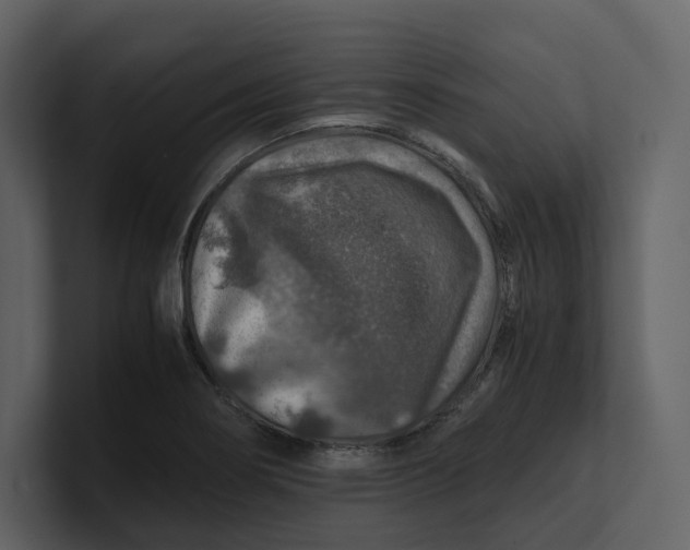 X0000100951274200807151329