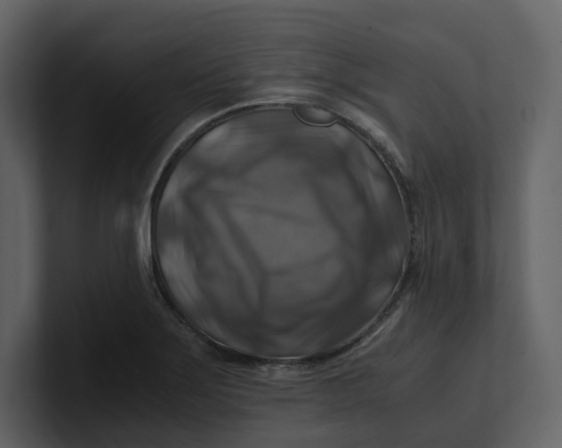 X0000100951275200807151329