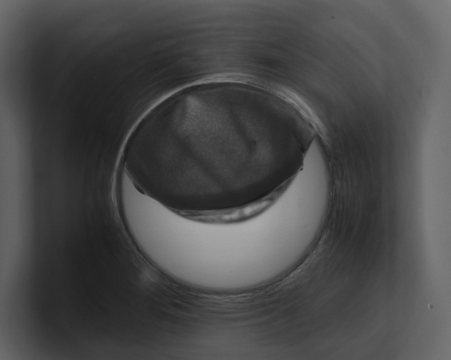 X0000100951276200807151329