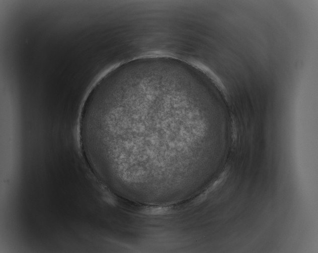 X0000100951278200807151329