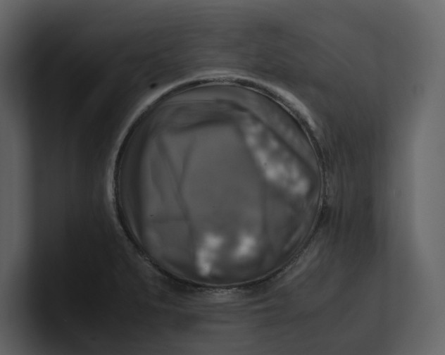 X0000100951279200807151329