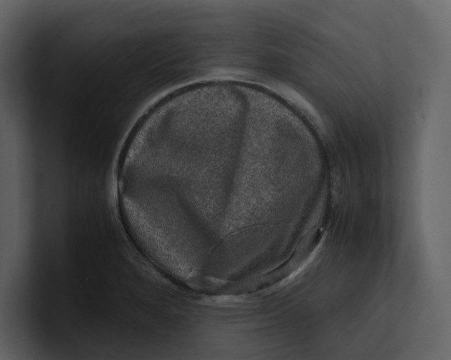 X0000100951280200807151329