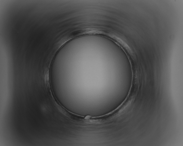 X0000100951281200807151329