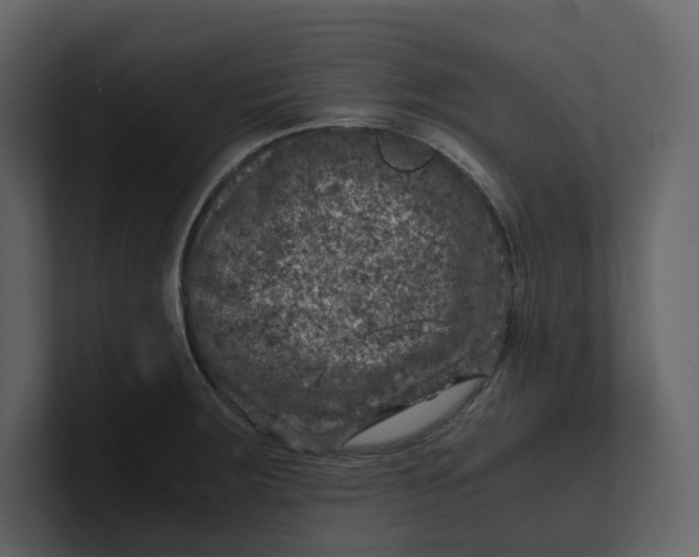 X0000100951283200807151329