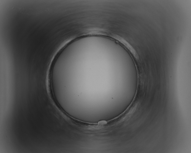 X0000100951285200807151329