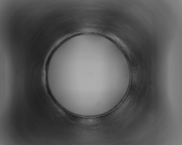 X0000100951286200807151329