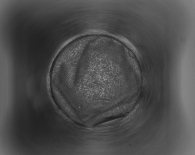 X0000100951287200807151329