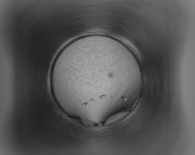 X0000100951288200807151329