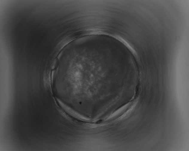 X0000100951289200807151329