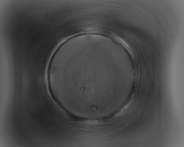 X0000100951291200807151329