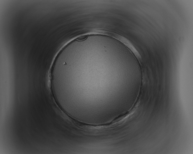 X0000100951292200807151329