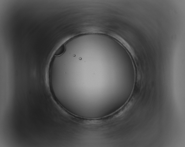 X0000100951293200807151329