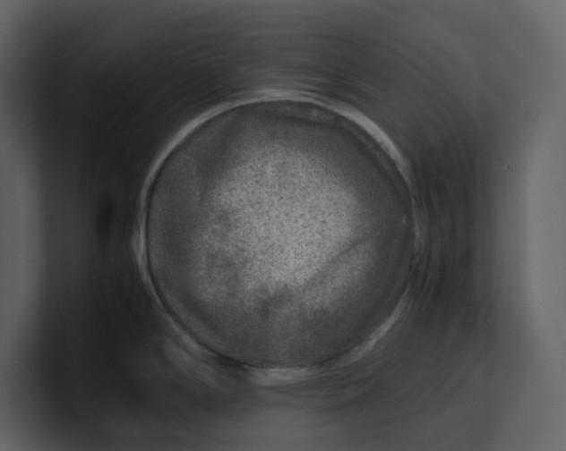 X0000100951294200807151329