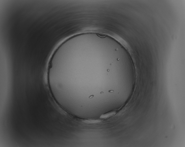 X0000100951296200807151329