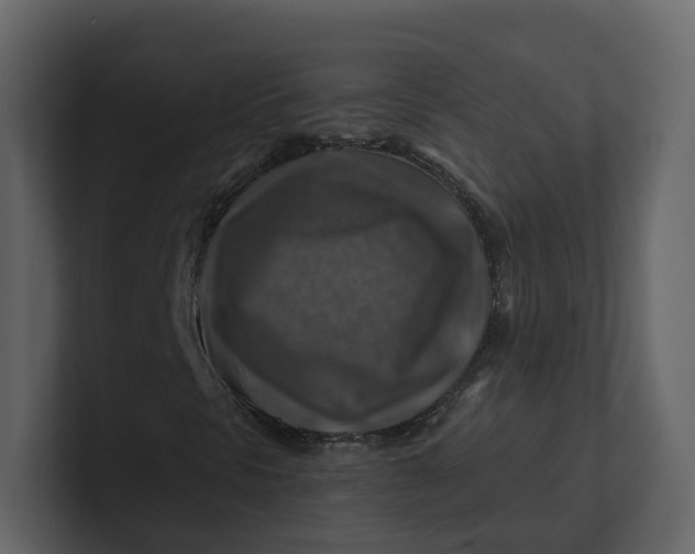 X0000100951297200807151328