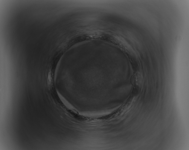 X0000100951298200807151328