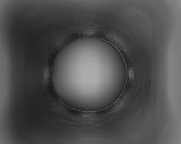 X0000100951299200807151328