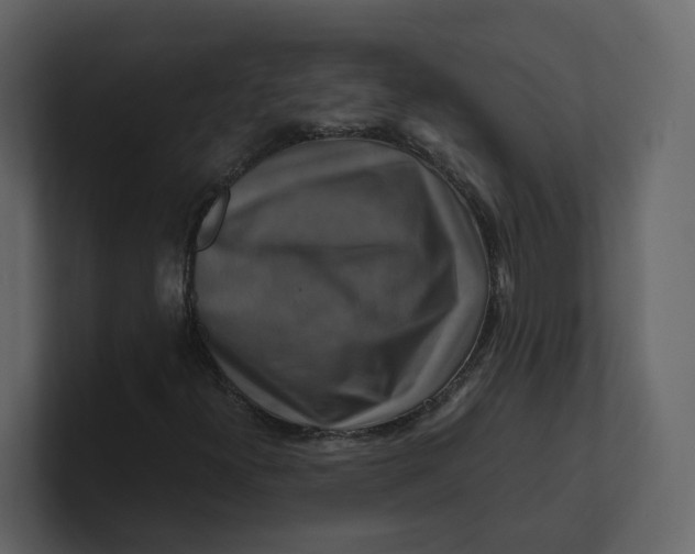 X0000100951300200807151328