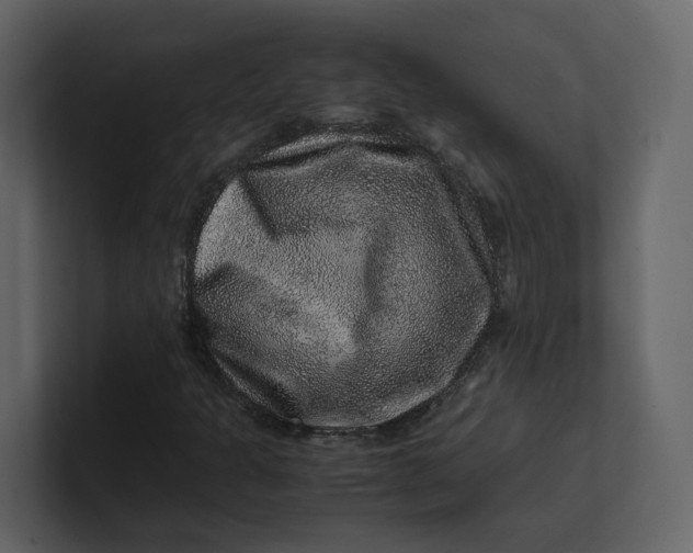 X0000100951301200807151328