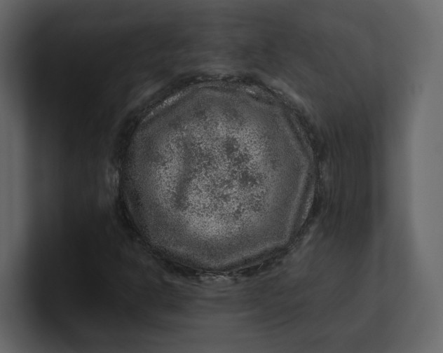 X0000100951302200807151328