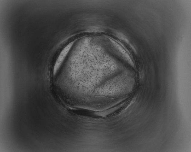 X0000100951304200807151328