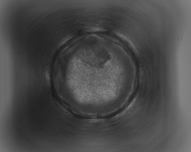 X0000100951305200807151328