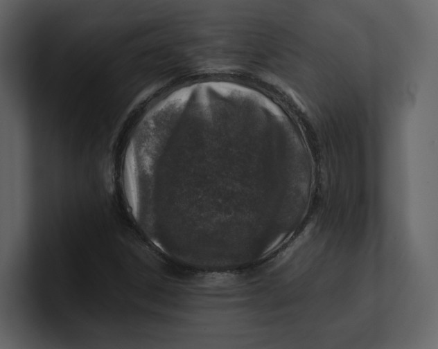 X0000100951306200807151328