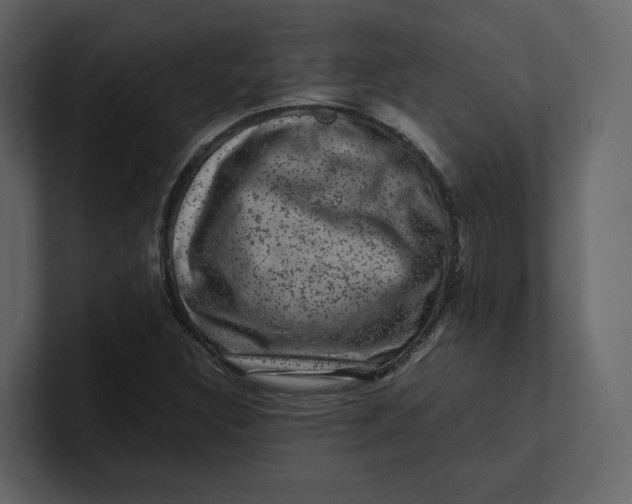 X0000100951308200807151328