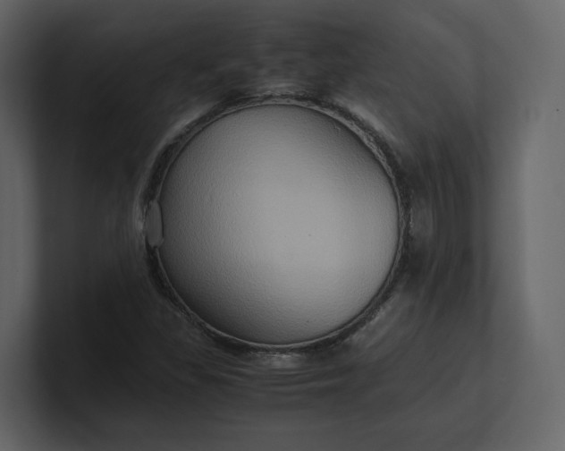 X0000100951309200807151328