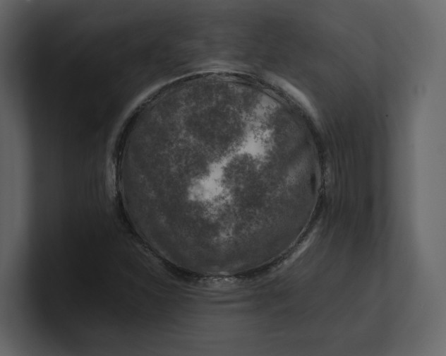 X0000100951310200807151328